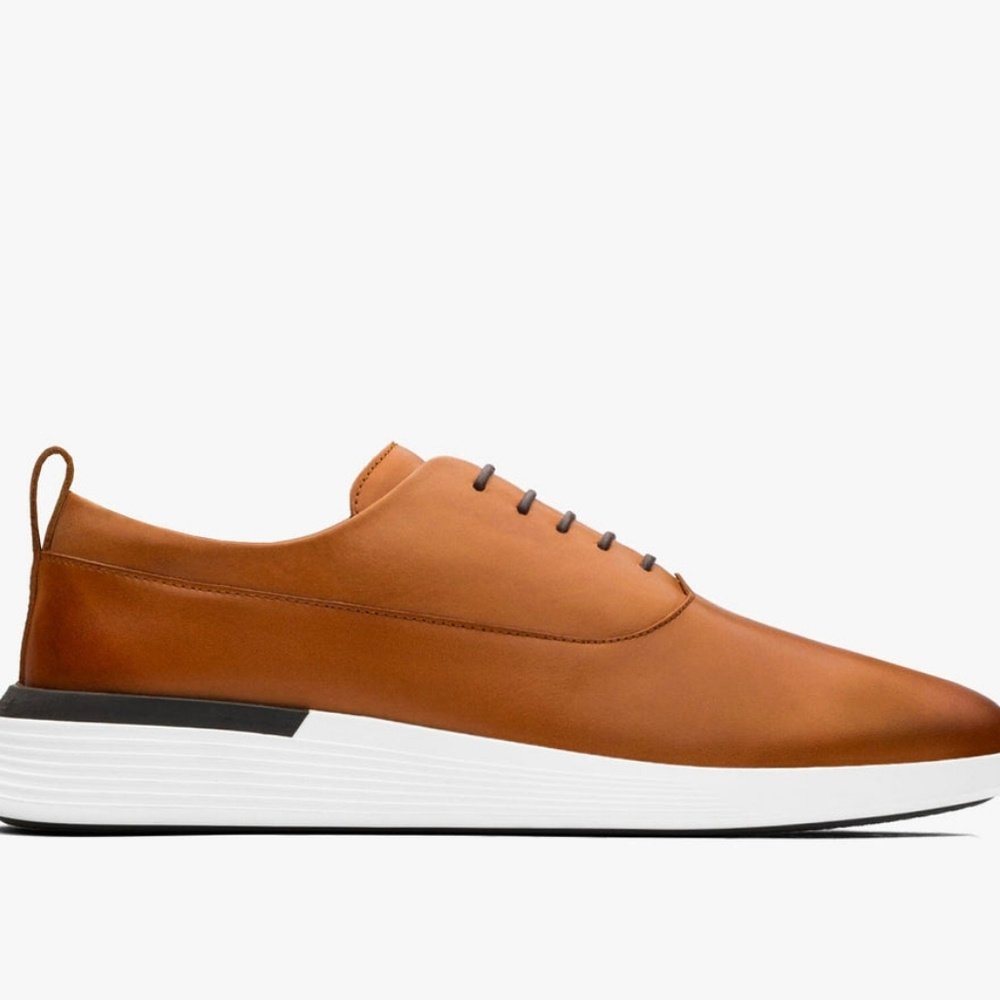 Wolf and Shepherd Crossover Longwing 10